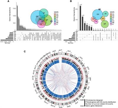 Comprehensive Characterization of Alternative mRNA Splicing Events in Glioblastoma: Implications for Prognosis, Molecular Subtypes, and Immune Microenvironment Remodeling